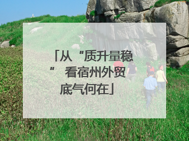 从“质升量稳” 看宿州外贸底气何在